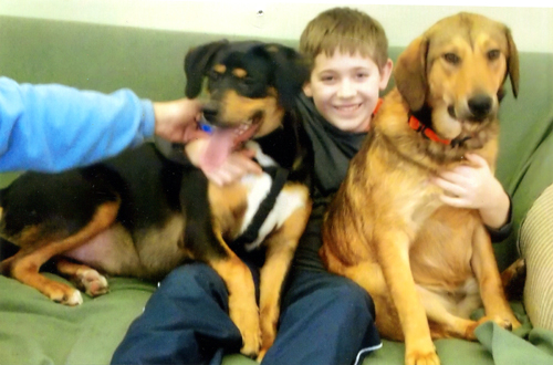 Boy and two dogs look like they feel at home.